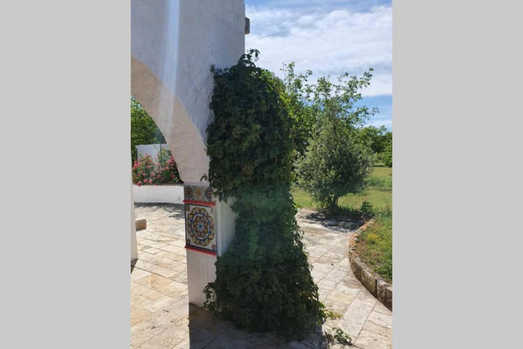 Trulli Relax A Martina Franca Exterior foto